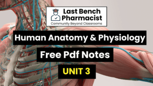 B Pharm Human Anatomy And Physiology 1 Unit 3 Pdf Notes