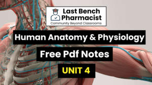 B Pharm Human Anatomy And Physiology 1 Unit 4 Notes