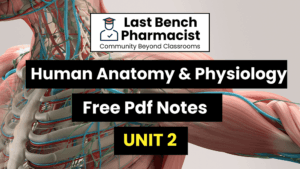 B Pharm Human Anatomy And Physiology 1 Unit 2 Pdf Notes