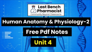 B Pharm Human Anatomy And Physiology 2 Unit 4 Pdf Notes