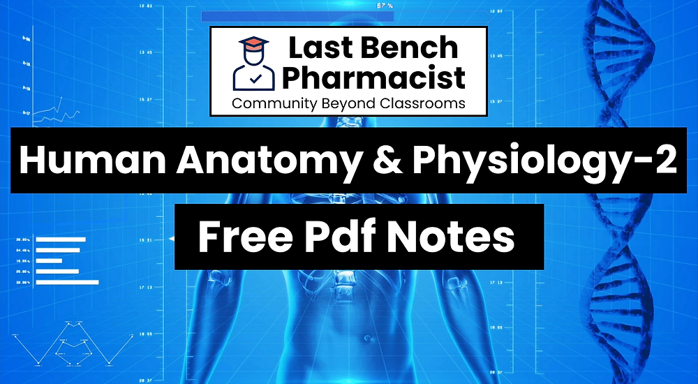 B Pharm Human Anatomy And Physiology 2 Pdf Notes