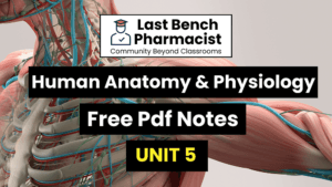 B Pharm Human Anatomy And Physiology 1 Unit 5 Pdf Notes