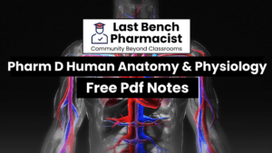 Pharm D 1st Year Human Anatomy And Physiology PDF Notes