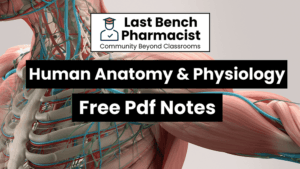 B Pharm Human Anatomy And Physiology 1 Pdf Notes