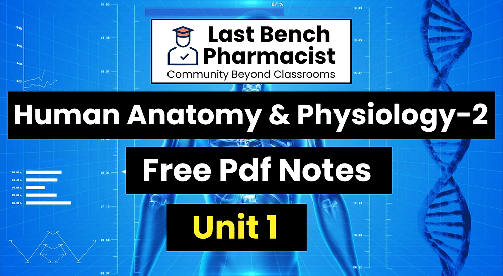 B Pharm Human Anatomy And Physiology 2 Unit 1 Pdf Notes