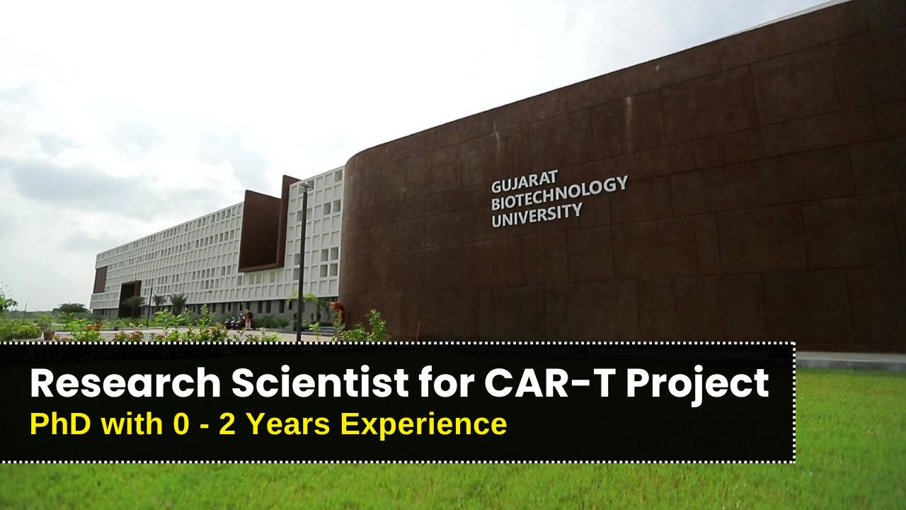 Gujarat Biotechnology University Hiring Research Scientist for CAR-T Project